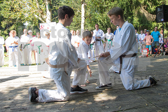Festival (Carobni dan v Alboretumu)