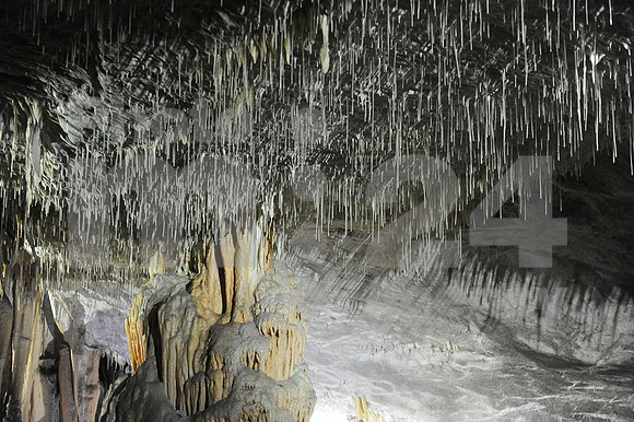 Postojna, Slovenske zeleznice event (Trip from Ljubljana to Postojnska jama - Postojna cave with train)