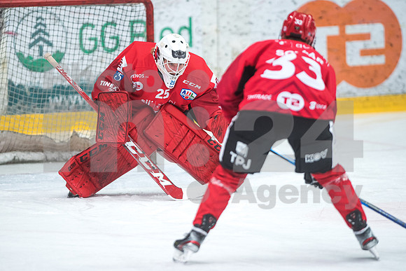 Alps Hockey League ( HDD Jesenice - BlackWings Linz )