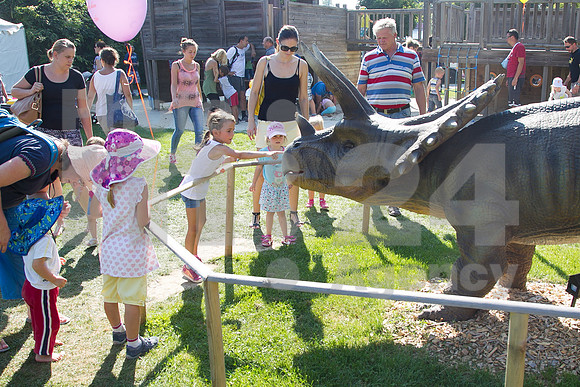 Festival (Carobni dan v Alboretumu)