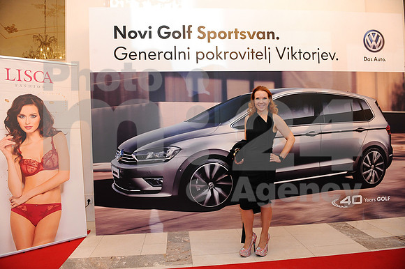 Awards (Viktor Awards 2013)
