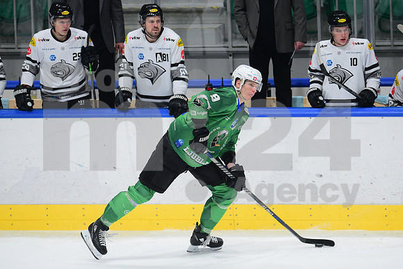 ICE Hockey League (HK SZ Olimpija - Dornbirn)