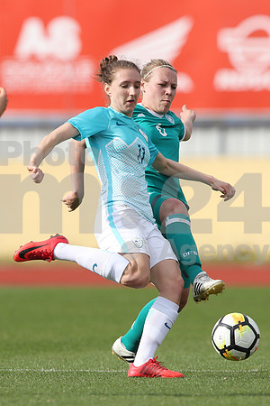 Slovenia-Germany