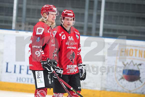Alps Hockey League ( HDD Jesenice - BlackWings Linz )