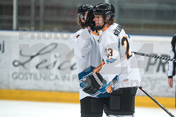 Alps Hockey League ( HDD Jesenice - BlackWings Linz )