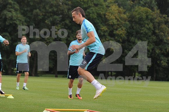 Brdo pri Kranju, Training (National team of Slovenia)