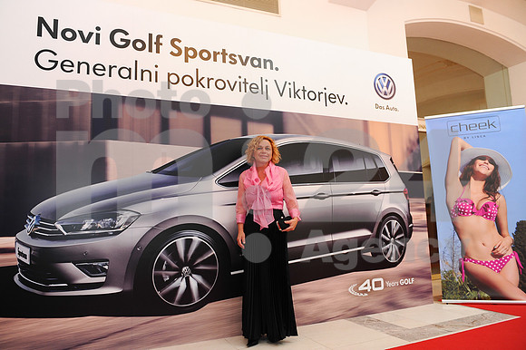 Awards (Viktor Awards 2013)