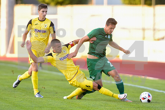 Domzale, First division, 07. round of Prva liga Telekom Slovenije (NK Radomlje - NK Krsko)