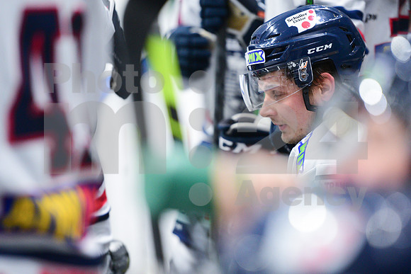 ICE Hockey League (HK SZ Olimpija - Fehervar)