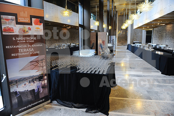 Awards (Viktor Awards 2013)
