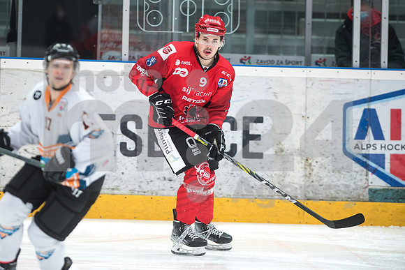 Alps Hockey League ( HDD Jesenice - BlackWings Linz )