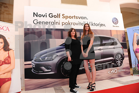 Awards (Viktor Awards 2013)