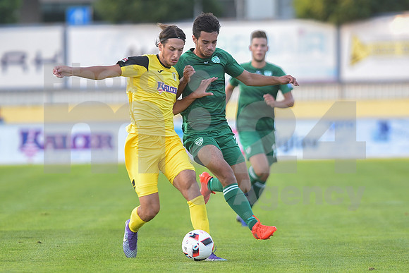 Domzale, First division, 07. round of Prva liga Telekom Slovenije (NK Radomlje - NK Krsko)