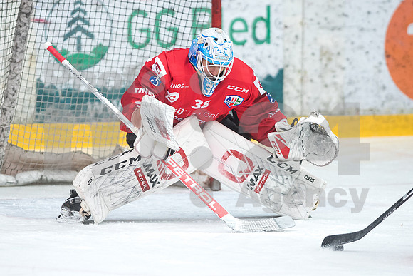 Alps Hockey League ( HDD Jesenice - BlackWings Linz )