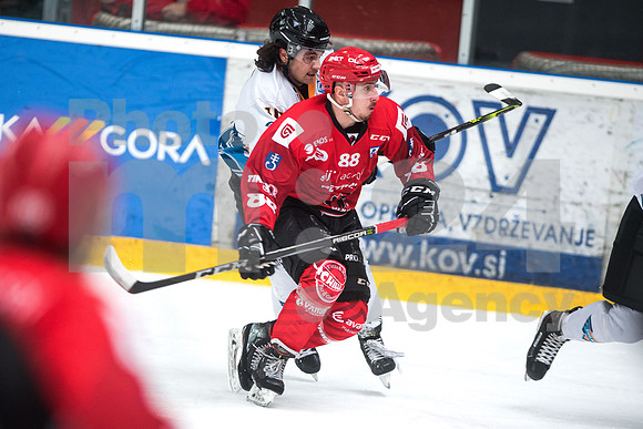 Alps Hockey League ( HDD Jesenice - BlackWings Linz )