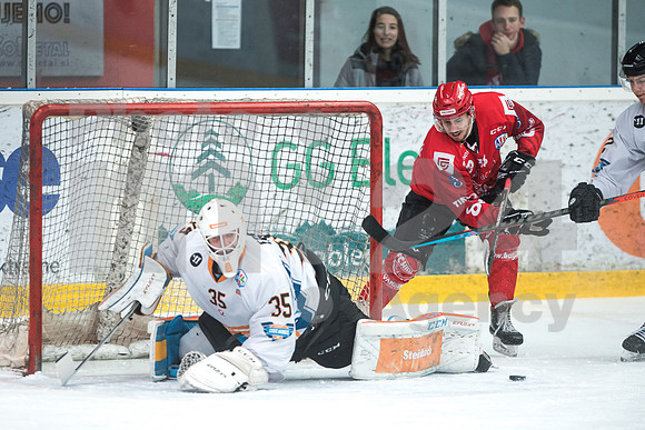 Alps Hockey League ( HDD Jesenice - Steel Wings Linz )