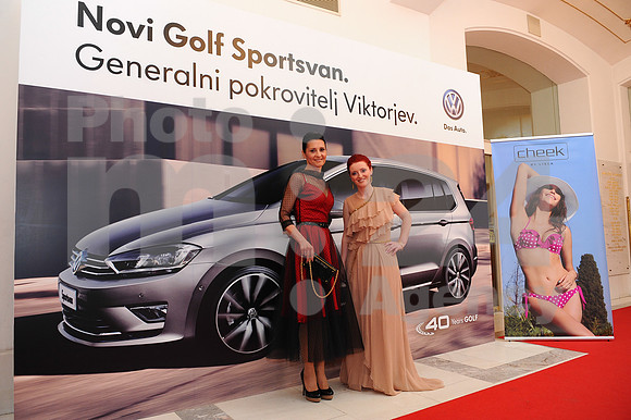 Awards (Viktor Awards 2013)