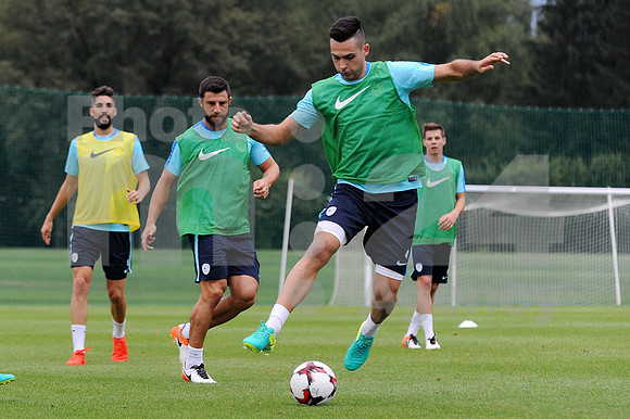 Brdo pri Kranju, Training (National team of Slovenia)
