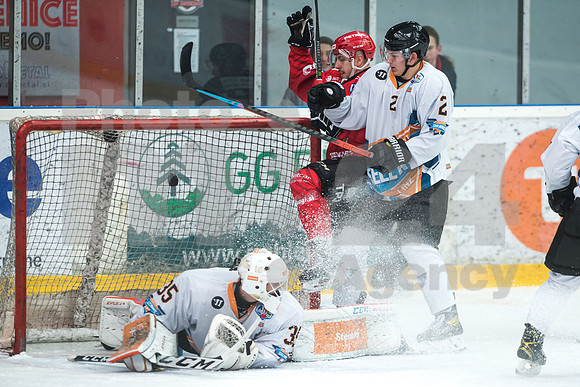 Alps Hockey League ( HDD Jesenice - Steel Wings Linz )