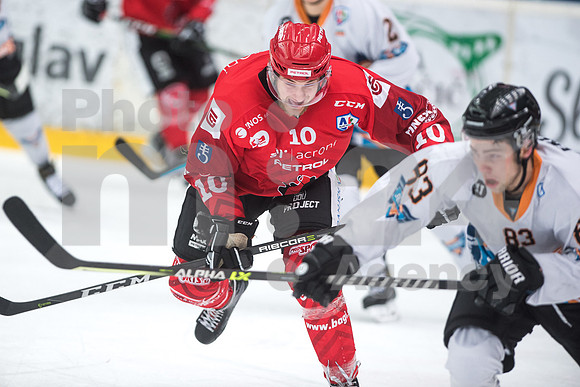 Alps Hockey League ( HDD Jesenice - BlackWings Linz )