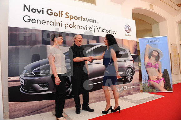 Awards (Viktor Awards 2013)