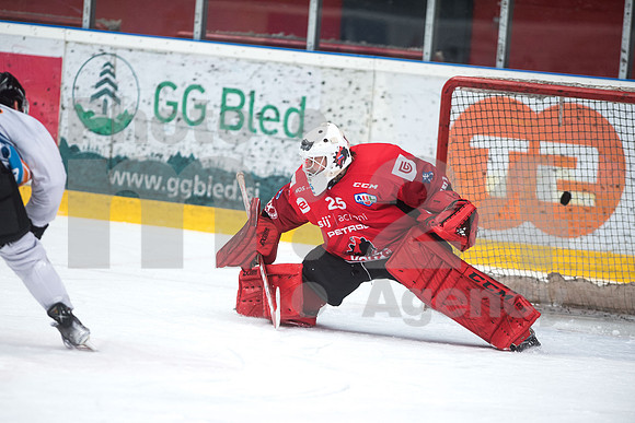 Alps Hockey League ( HDD Jesenice - Steel Wings Linz )