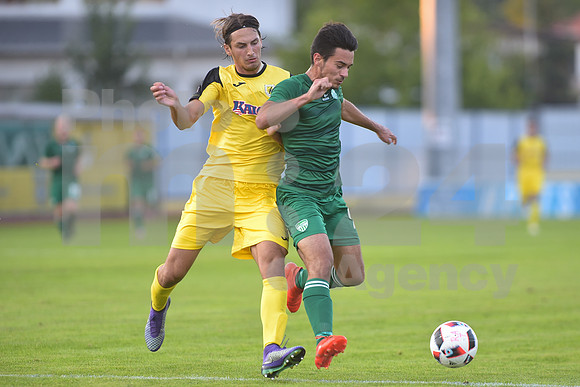 Domzale, First division, 07. round of Prva liga Telekom Slovenije (NK Radomlje - NK Krsko)