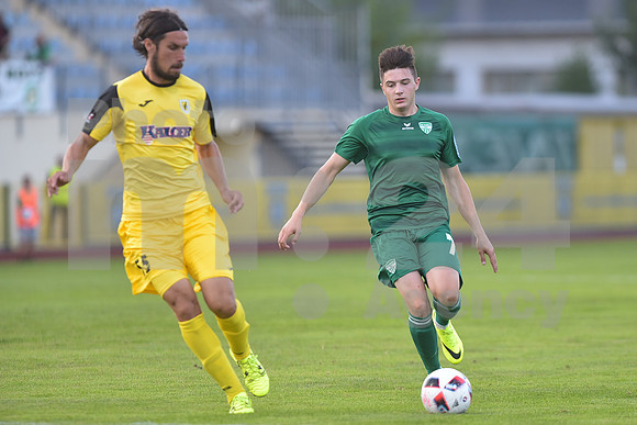 Domzale, First division, 07. round of Prva liga Telekom Slovenije (NK Radomlje - NK Krsko)